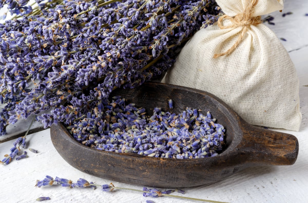 Ce poți face cu lavanda uscată acasă: idei simple și frumos mirositoare