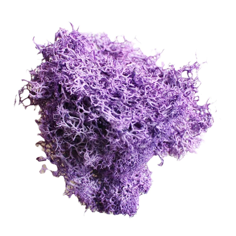 Licheni stabilizați 500g, culoare lila - ROC FD15