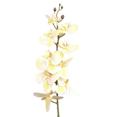 Orhidee artificiala siliconata fir, culoare crem. Tija contine 9 flori.