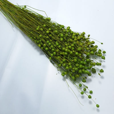 Buchet In, culoare verde olive - ROC FD 10
