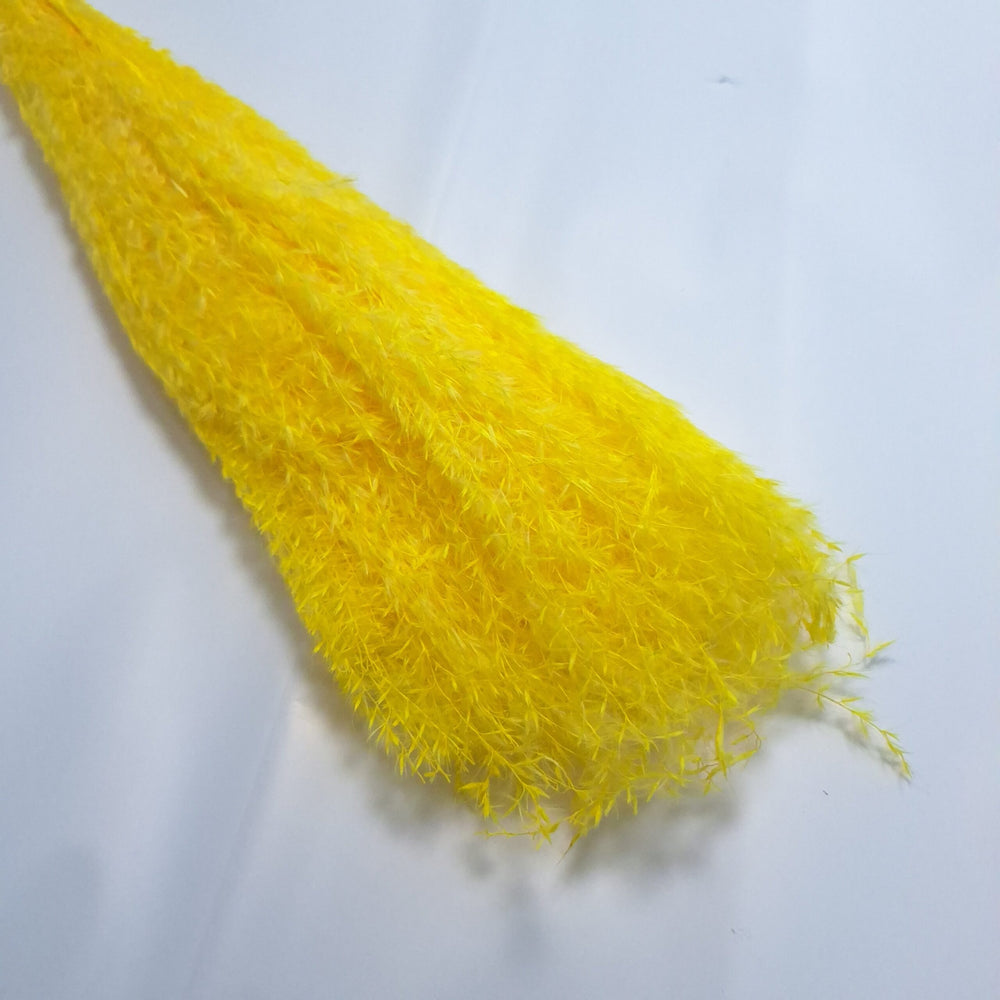 Miscanthus, culoare galben - ROC FD9