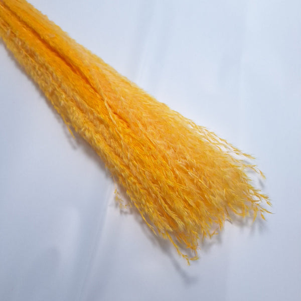 Miscanthus, culoare portocaliu - ROC FD9