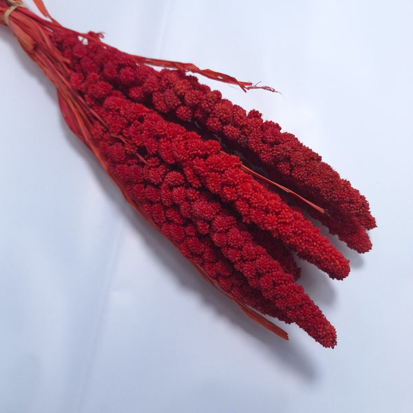 Buchet Ciumiza, culoare rosu - ROC FD4