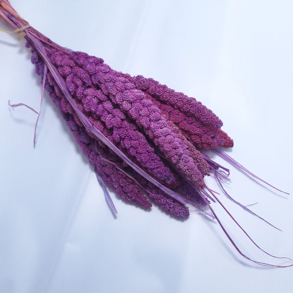 Buchet Ciumiza, culoare mov - ROC FD4