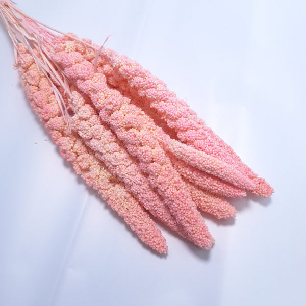 Buchet Ciumiza, culoare roz - ROC FD4