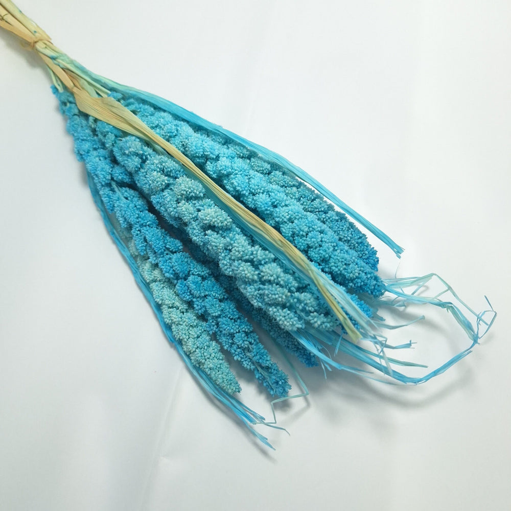 Buchet Ciumiza, culoare blue - ROC FD4