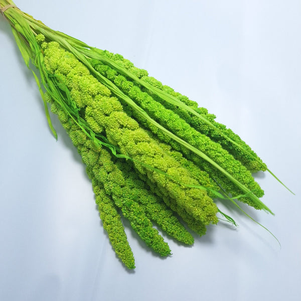 Buchet Ciumiza, culoare verde - ROC FD4