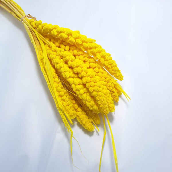 Buchet Ciumiza, culoare galben - ROC FD4