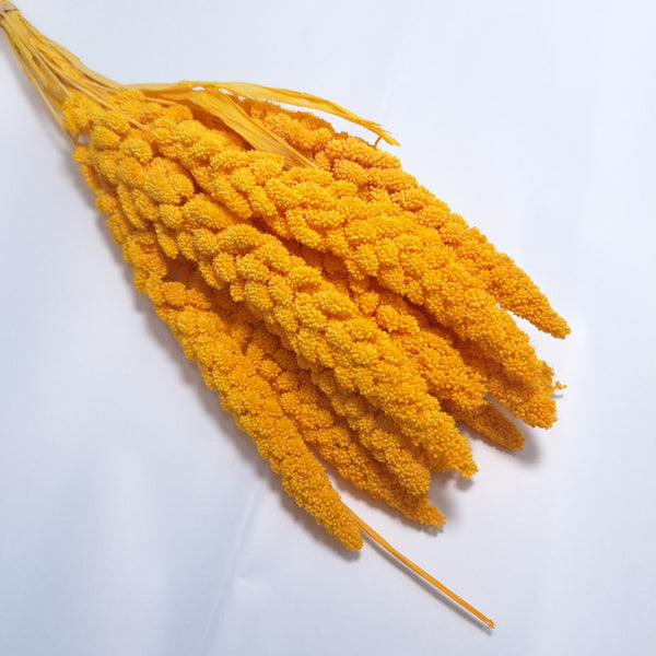 Buchet Ciumiza, culoare portocaliu - ROC FD4