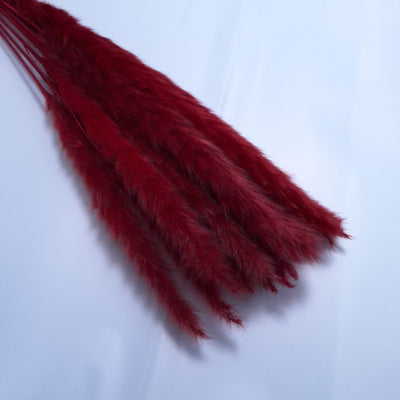 Buchet mini pampas, culoare grena - ROC FD 7