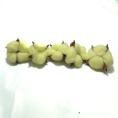 Set 20 de capete de flori de bumbac, culoare crem - ROC FD13