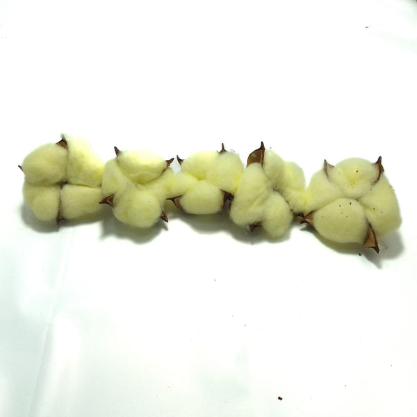 Set 20 de capete de flori de bumbac, culoare crem - ROC FD13