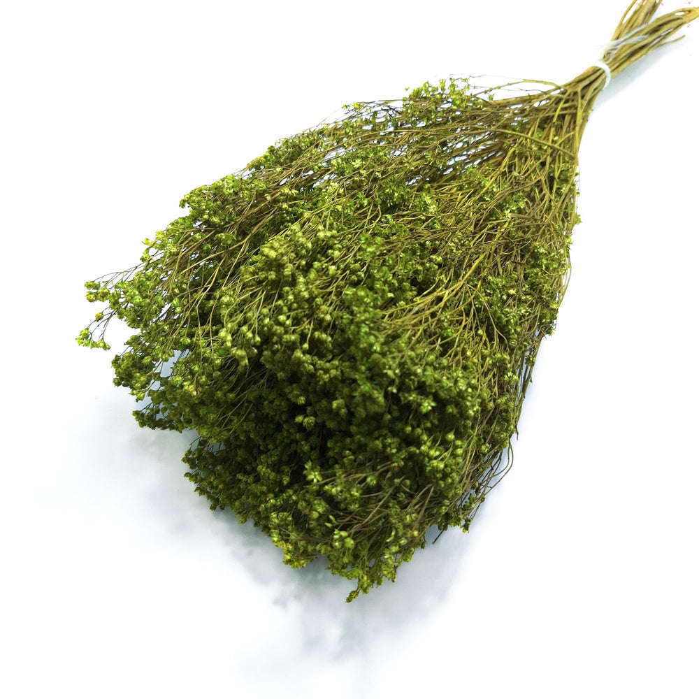 Broom bloom, culoare verde olive - ROC FD42