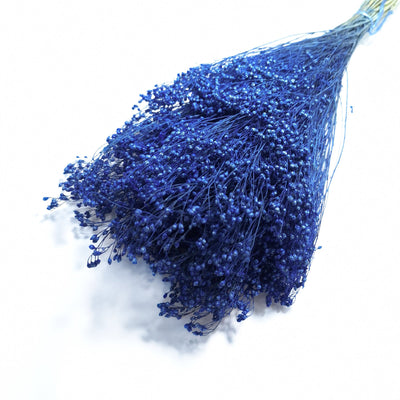 Broom bloom, culoare albastru închis - ROC FD 42