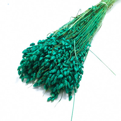 Briza Maxima, culoare verde smarald - ROC FD 43