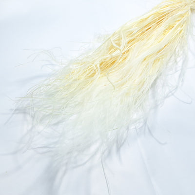 Stipa Pennata, culoare alb - ROC FD 44
