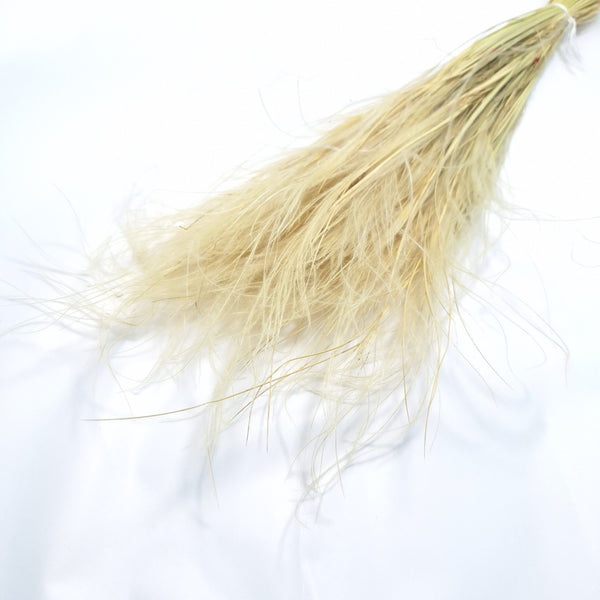 Stipa Pennata, culoare nature - ROC FD 44