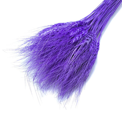 Buchet spice de grau, culoare mov - ROC FD6