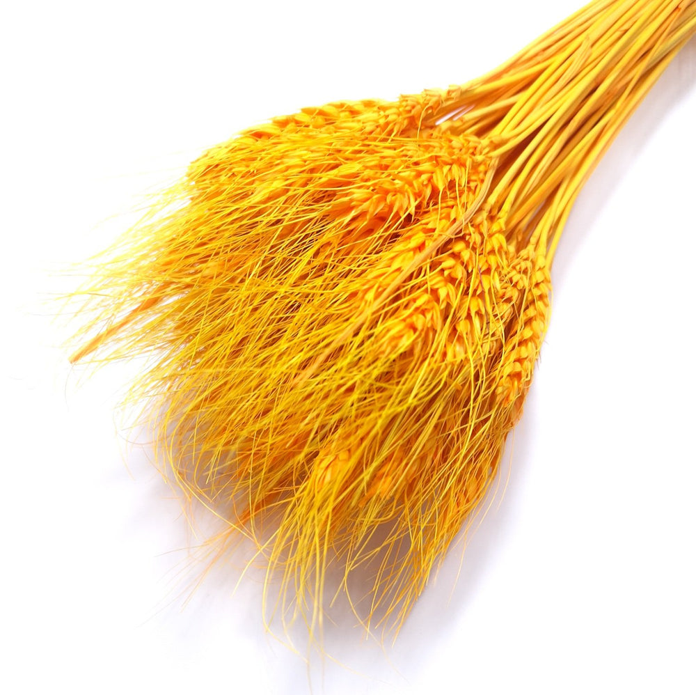 Buchet spice de grau, culoare portocaliu - ROC FD6