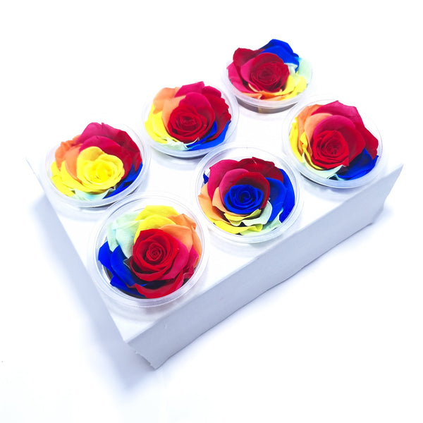 Set 6 trandafiri multicolori criogenati - ROC M30