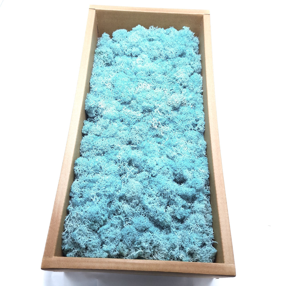 Licheni stabilizați 500g, culoare blue - ROC FD15