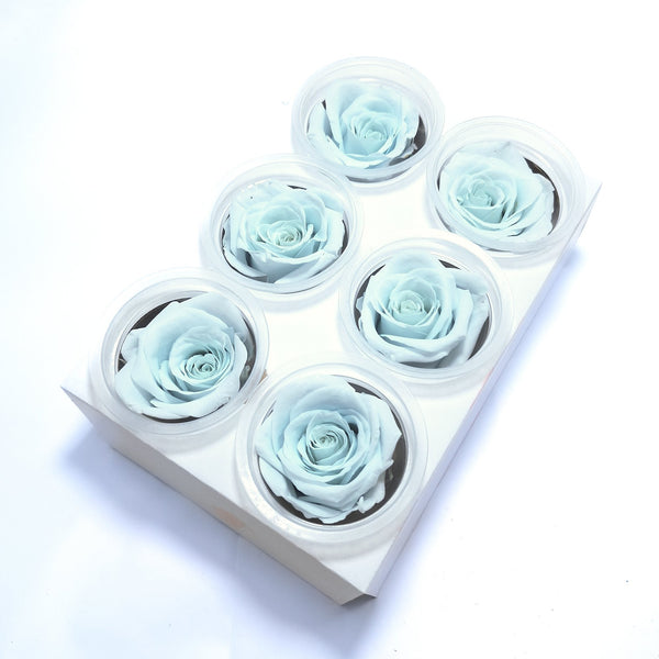 Set 6 trandafiri criogenati, culoare blue - ROC M27