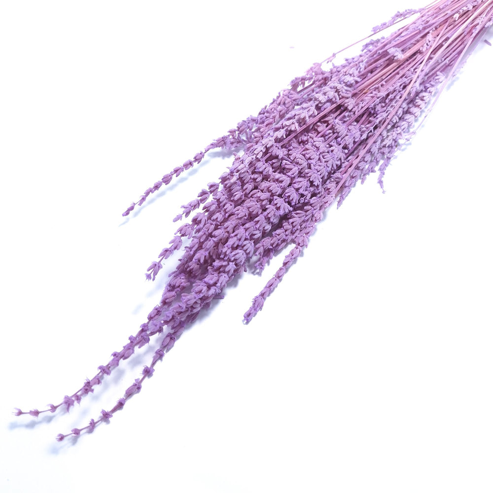 Buchet lavandă, culoare lila - ROC FD 2