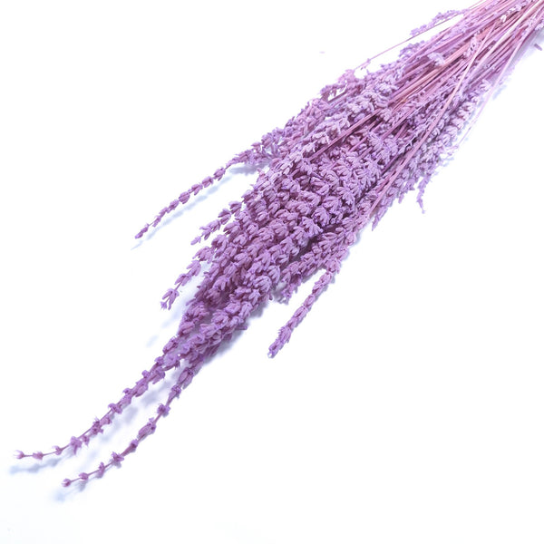 Buchet lavandă, culoare lila - ROC FD 2