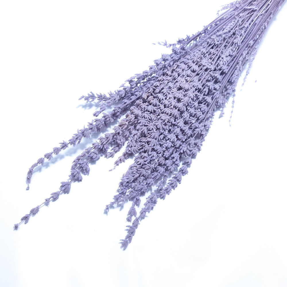 Buchet lavandă, culoare mov - ROC FD 2