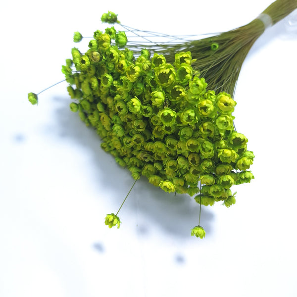 Glixia, culoare verde crud - ROC FD 45