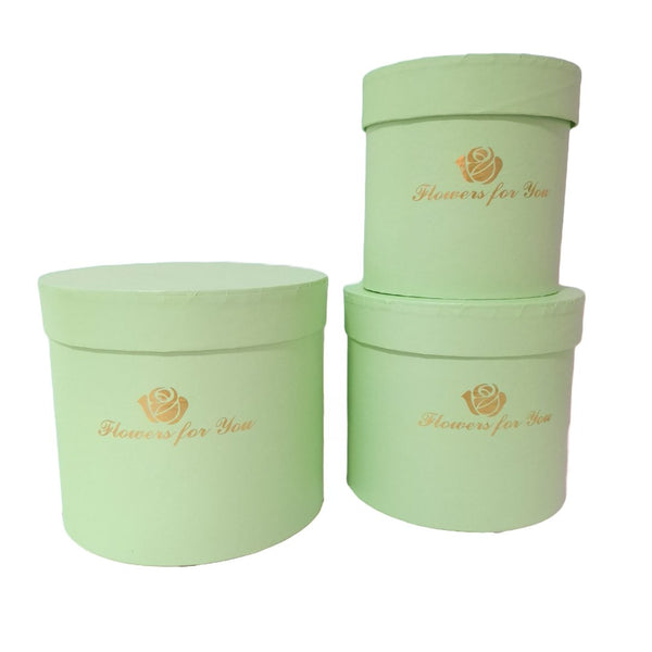 Set 3 cutii din carton, culoare vernil - ROC 5283