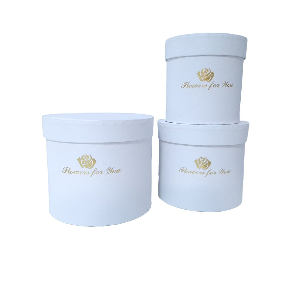 Set 3 cutii din carton, culoare alb - ROC 5283