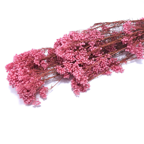 Floare de orez criogenată, culoare roz inchis - ROC FD18