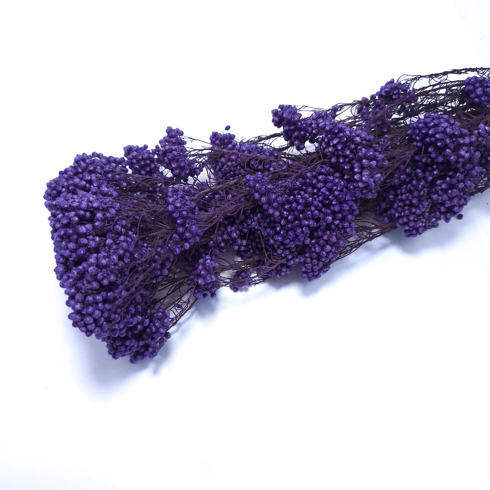 Floare de orez criogenată, culoare mov - ROC FD18