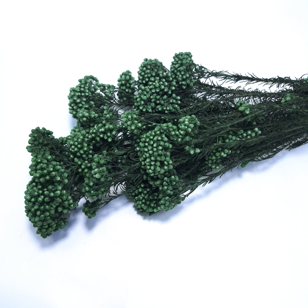 Floare de orez criogenată, culoare verde - ROC FD18