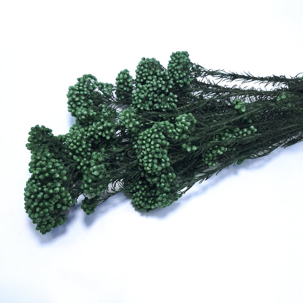 Floare de orez criogenată, culoare verde - ROC FD18