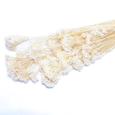 Floare de orez criogenată, culoare alb - ROC FD18