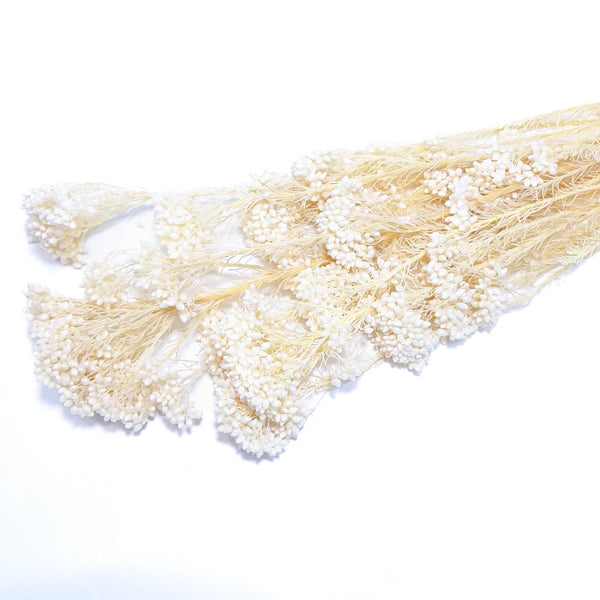 Floare de orez criogenată, culoare alb - ROC FD18