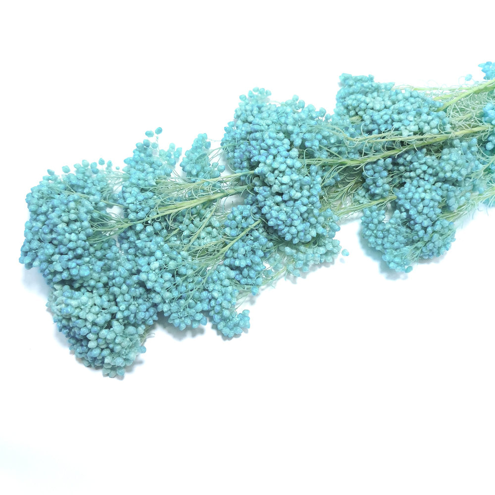 Floare de orez criogenată, culoare turcoaz - ROC FD18