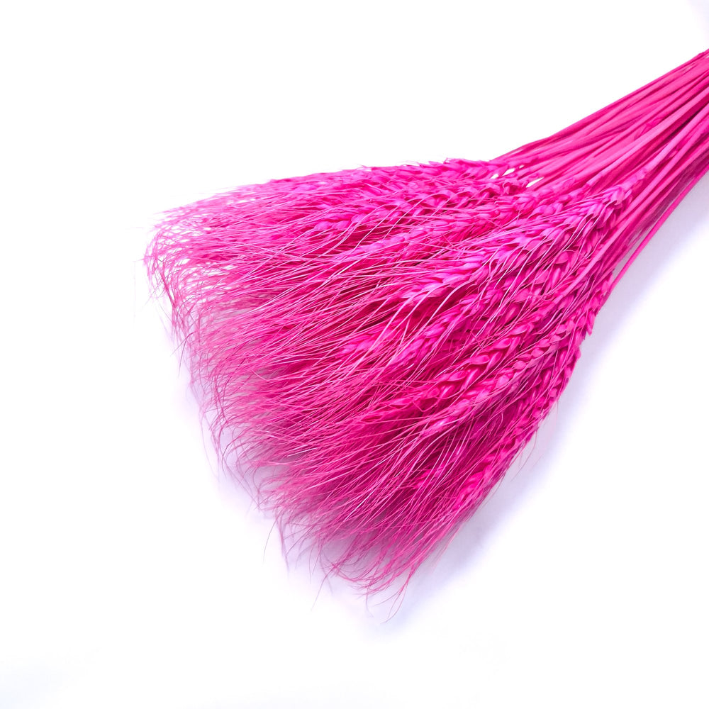 Buchet spice de grau, culoare ciclam - ROC FD6