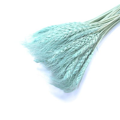 Buchet spice de grau, culoare turcoaz - ROC FD6