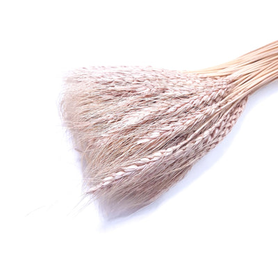 Buchet spice de grau, culoare bej - ROC FD6
