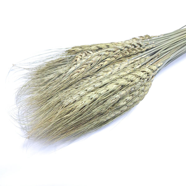Buchet spice de grau, culoare nature - ROC FD6
