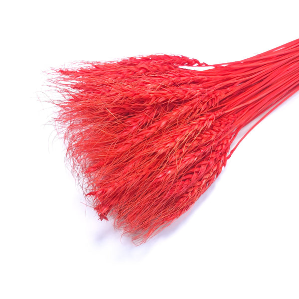 Buchet spice de grau, culoare rosu - ROC FD6