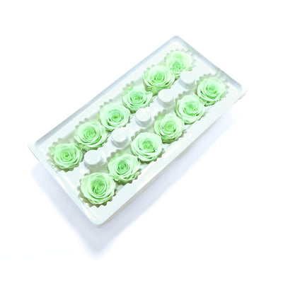 Set 12 trandafiri criogenati, culoare verde NR. 30 - ROC M28