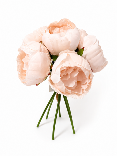 Buchet 6 bujori, culoare roz somon - ROC AF4