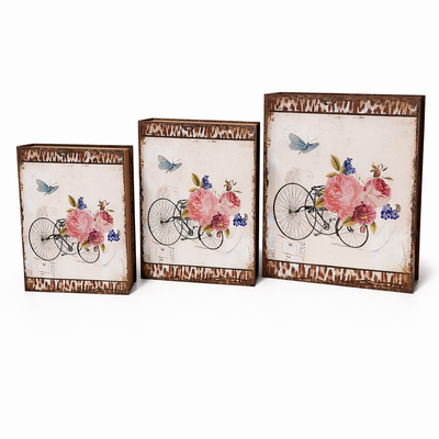 Set 3 cutii din carton tip carte, model bicicletă SY517 - ROC 529
