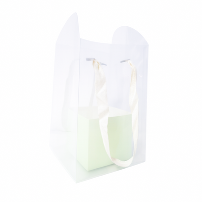 Set 5 pungi transparente și cutie cartonată, culoare crem - ROC A237