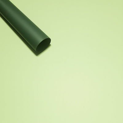Coli celofan cu două fețe, culoare verde cu vernil #2 - ROC A288