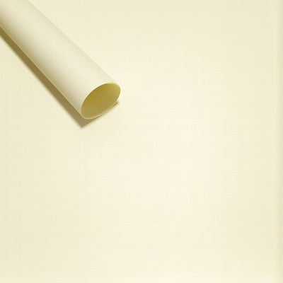 Coli celofan uni, culoare crem #7 - ROC A288
